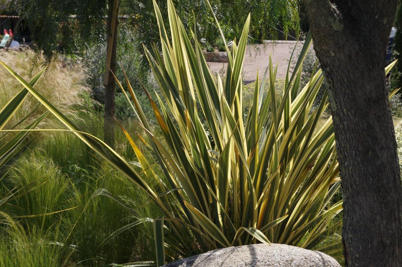 Les Jardins De Santa Giulia - Charmante Chambre D'Hote Porto-Vecchio  Exterior foto
